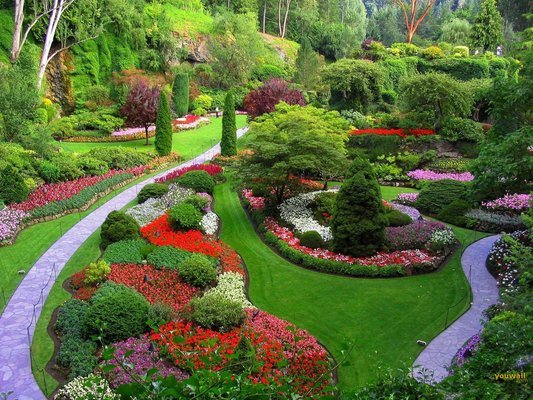 Landscaping and gardening